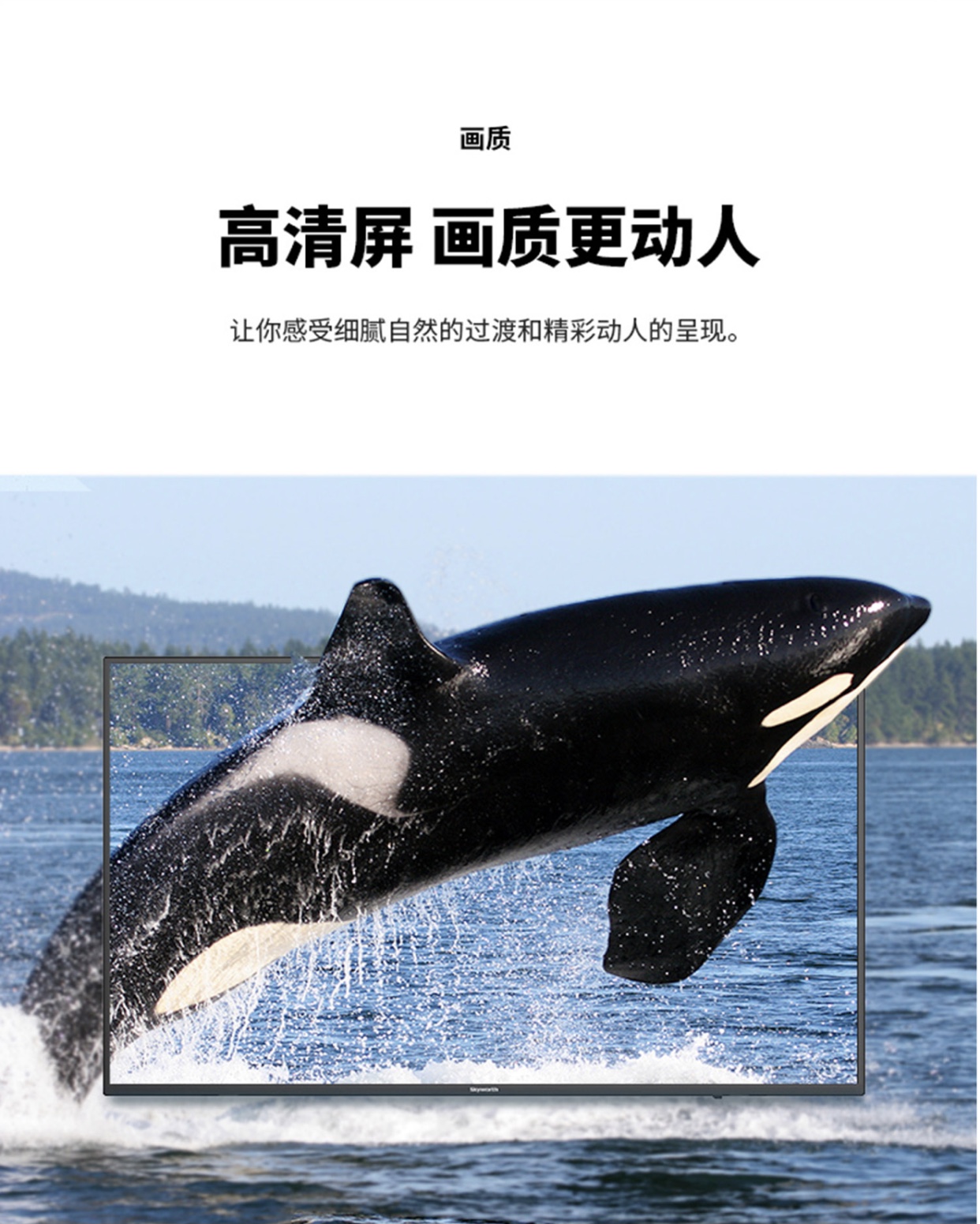 详情-02.jpg