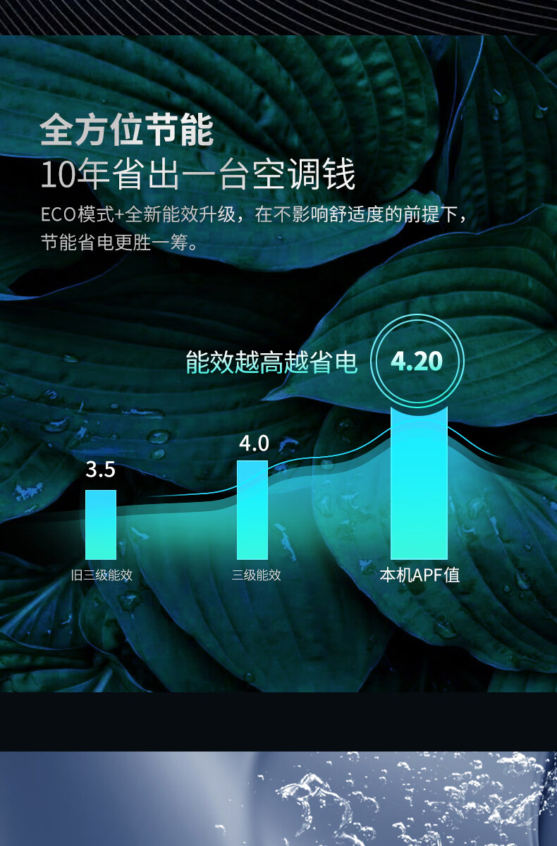 详情-06.jpg